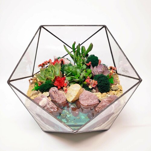 Флорариум с суккулентами 