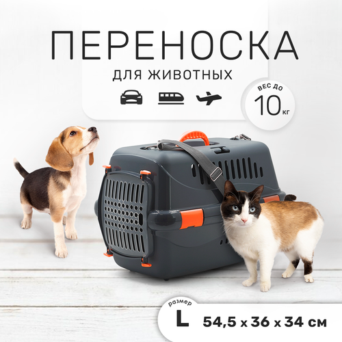 Пластиковая клиппер-переноска для кошек и собак ZOOSET, 54,5х36х34 см, с плечевым ремнем, серая/оранжевая