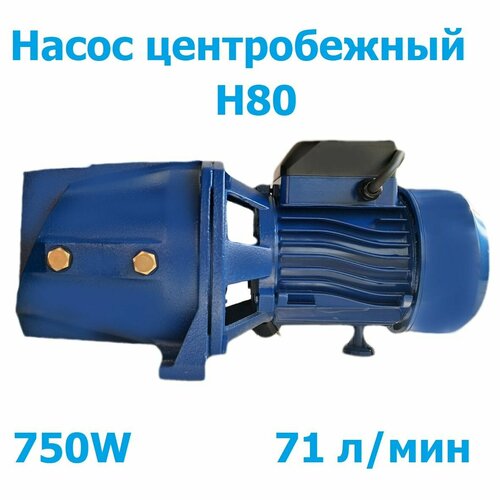 Насос садовый H80 т м Тайфун 6000₽