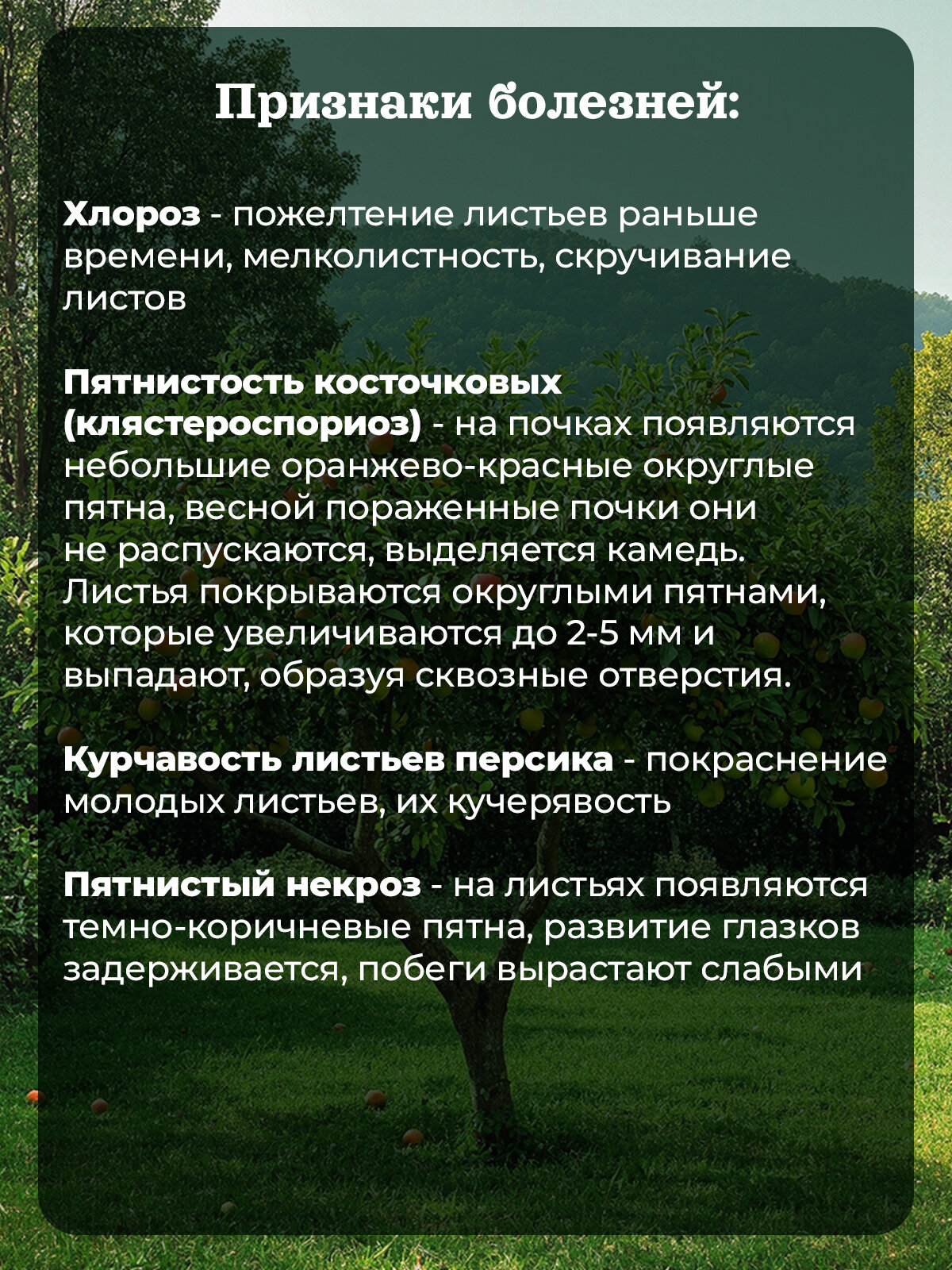 Спасатель для плодовых деревьев от болезней и вредителей "Чистый сад" 3 в 1 (3 ампулы на 10 литров) — фото 1