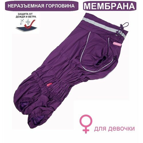 Комбинезон-дождевик для корги “Мембрана Люкс” с высоким воротником. Девочка (К47 по спине 49см девочка)