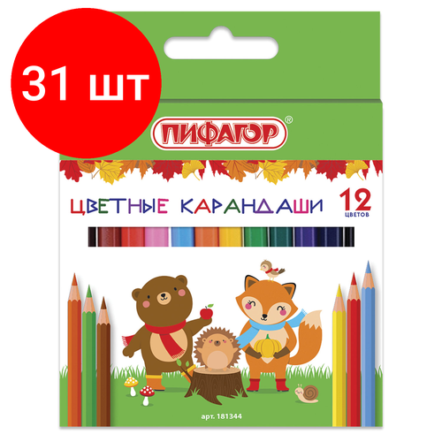 Комплект 31 шт, Карандаши цветные пифагор малыши-карандаши, 12 цветов, укороченные заточенные, 181344