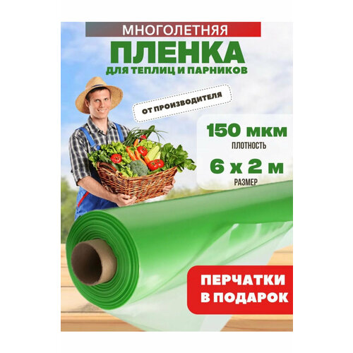 Многолетняя пленка для теплиц, зеленая, плотность 150мкм, размер 6х2м зеленый