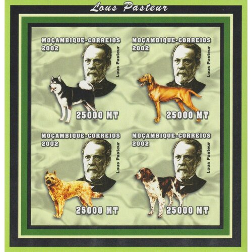 Почтовые марки Мозамбик 2002г. Личности - Луи Пастер и собаки Собаки, Ученые MNH