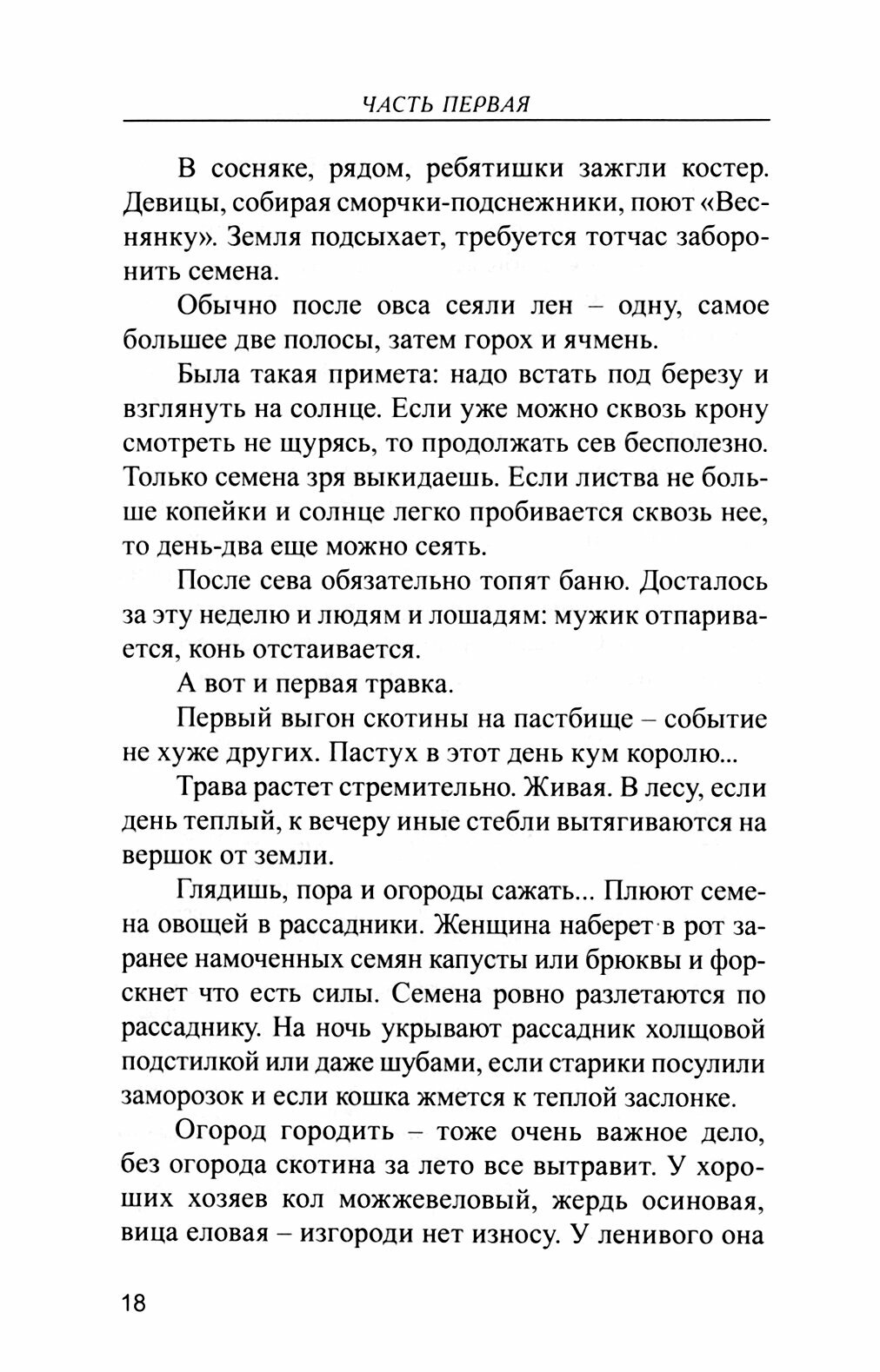 Лад. Повседневная жизнь Русского Севера - фото №7