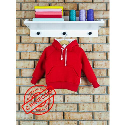 фото Толстовка babymaya, размер 28/98, красный