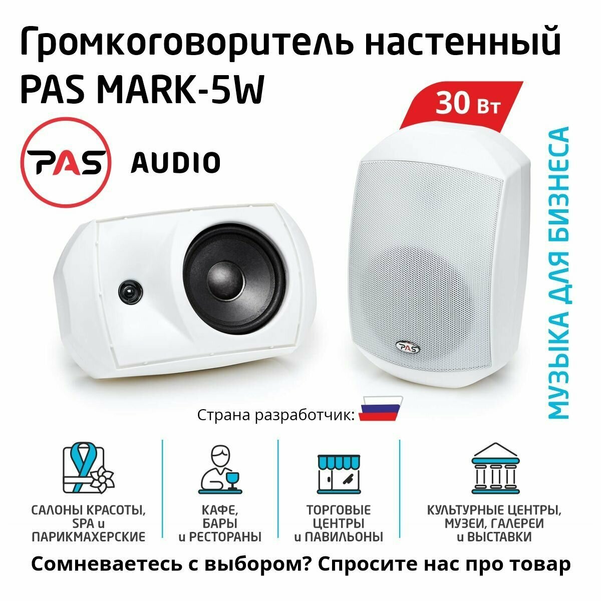 Настенный трансляционный громкоговоритель 30 вт PASystem MARK-5W