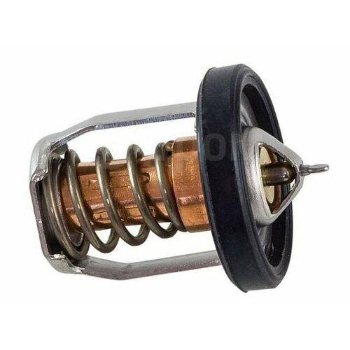 Термостат FUJI FJC123842 42°С (17670-91J21 )