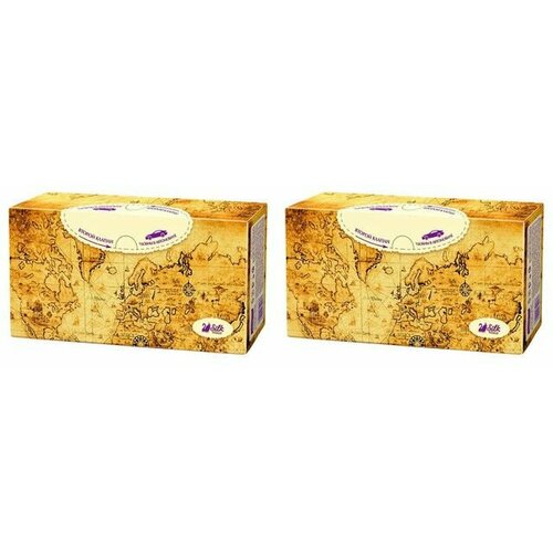 Ola Салфетки бумажные Silk Sense Авто 60 шт 2 упаковки 594₽