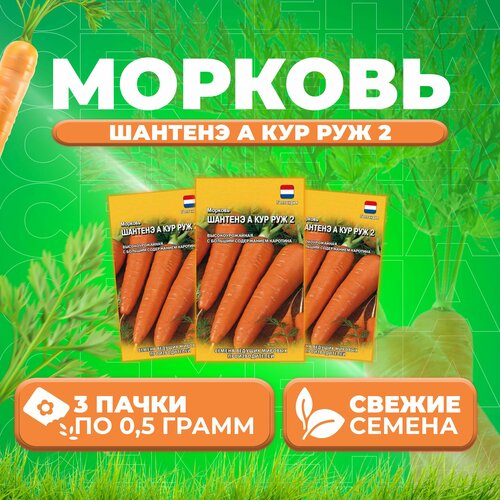 морковь шантенэ а кур руж 2 1гр цв п Морковь Шантенэ А Кур Руж 2, 0,5г, Гавриш, Ведущие мировые производители (3 уп)