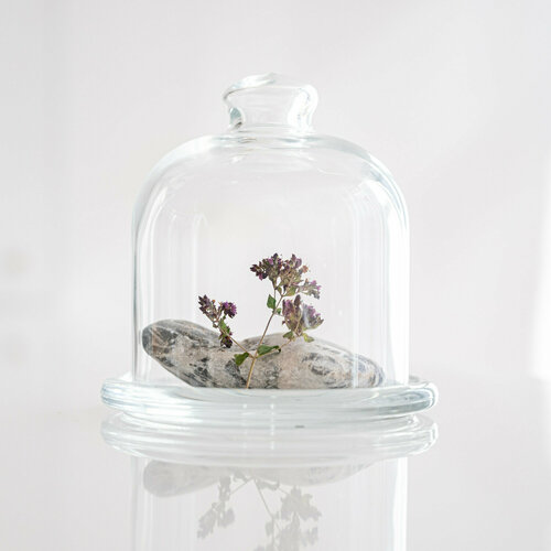 Клош стеклянный с блюдцем для декора и десертов 1236₽