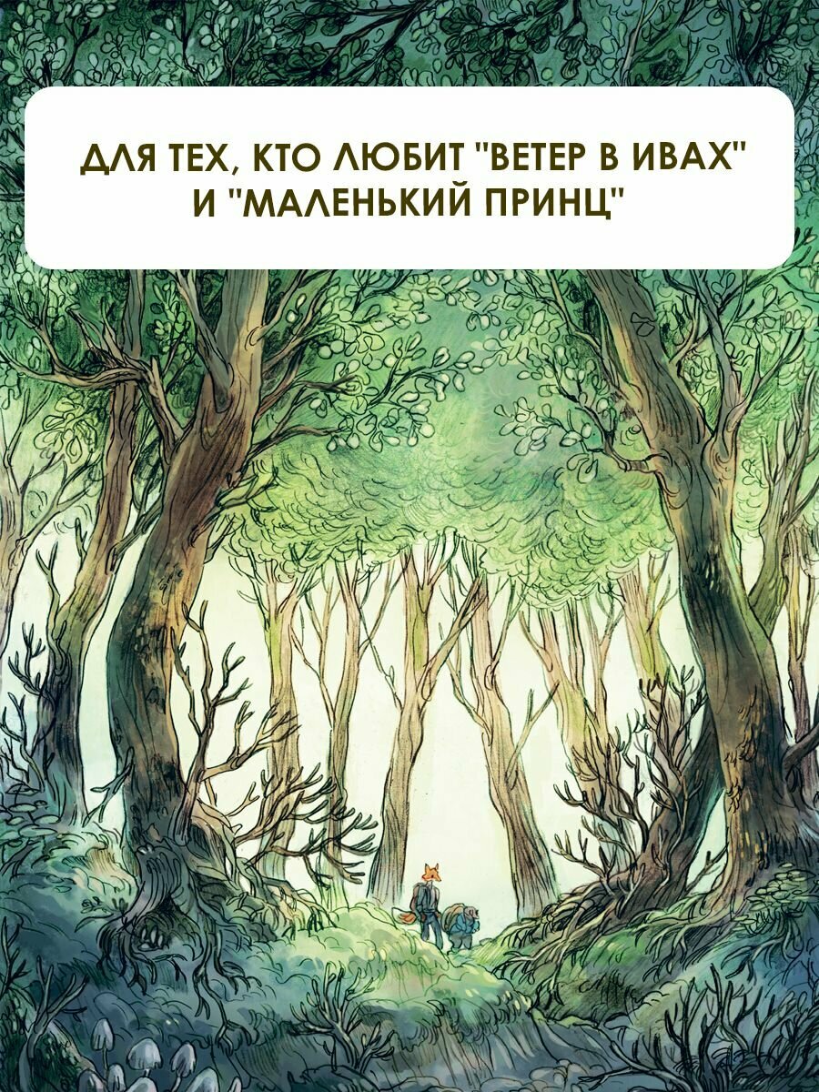 Записки из Зелёного Бора. Заветная тайна Крота Фердинанда - фото №5