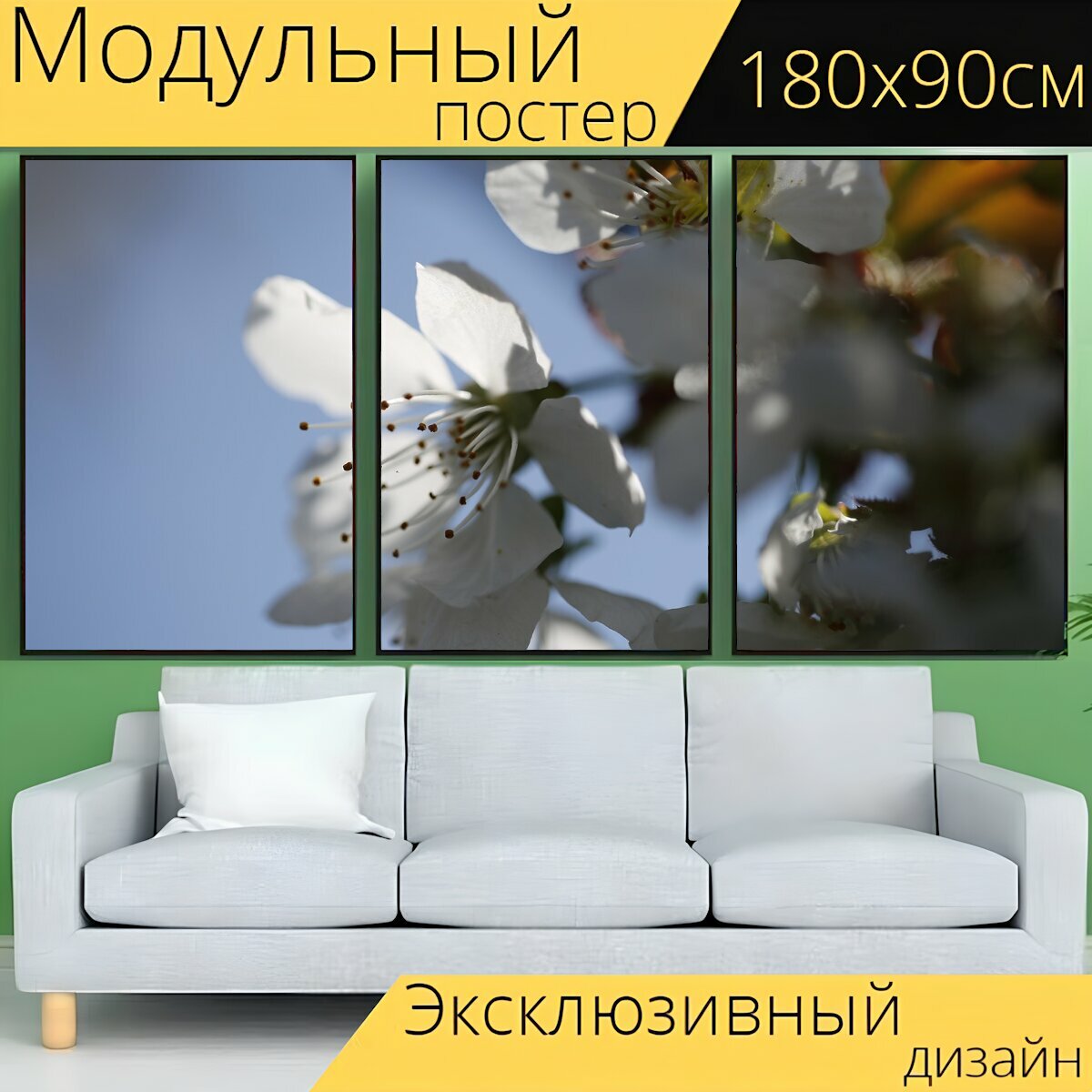 Модульный постер "Вишня в цвету, весна, вишневое дерево" 180 x 90 см. для интерьера