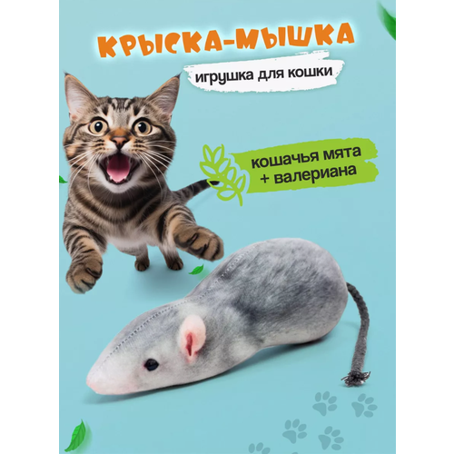 Мышка для кота с мятой и валерьяной игрушка для кошек пижон леденец из кошачьей мяты зеленый коричневый