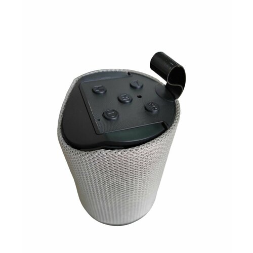 Беспроводная колонка 59900₽