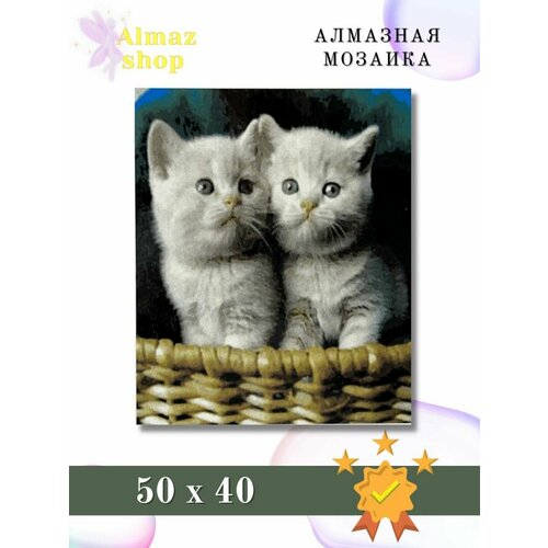 Алмазная мозаика Almaz shop