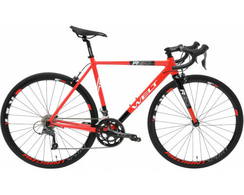 фото Welt R80 28" 2023 (требует финальной сборки), Цвет red, Размер 21"