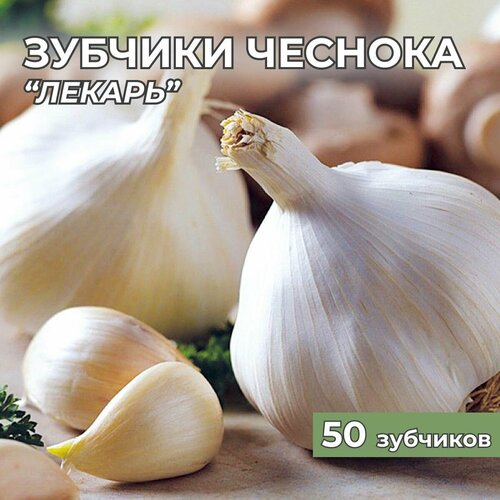 Зубчики чеснока на посадку Лекарь 50шт