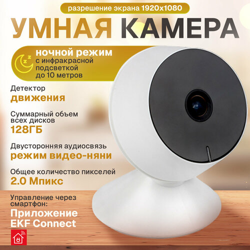 Умная камера EKF Connect M8S Wi-Fi 290000₽