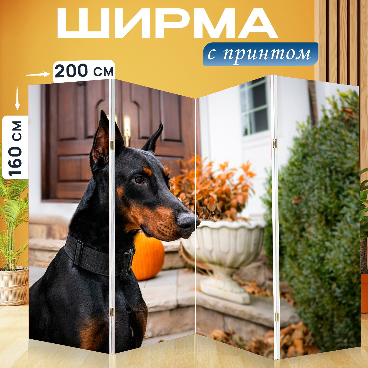 Ширма перегородка с принтом "Доберман, собака, щенок" на холсте - 200x160 см. для зонирования, раскладная