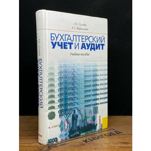 Бухгалтерский учет и аудит 2005