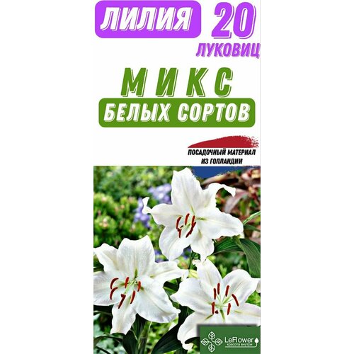 Лилия Луковица, Микс белых сортов, 20шт лилии луковицы многолетние