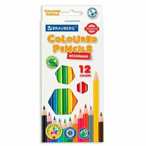 Карандаши цветные пластиковые 12 цветов Premium, грифель диаметром 3,0 мм