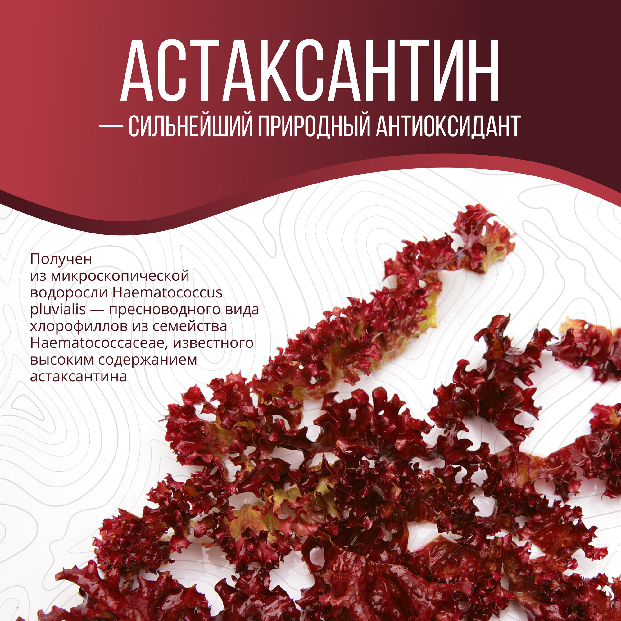 Астаксантин + МСТ oil + витамин Е, 30 капсул. Антиоксидант для иммунитета и сохранения молодости. Astaxanthin, 6 мг