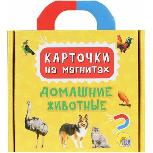 карточки на магнитах в чемоданчике домашние животные Карточки на магнитах Домашние животные