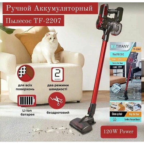 Беспроводной вертикальный пылесос красный 1060000₽