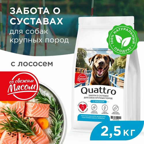 Корм сухой для взрослых собак крупных пород, премиум полнорационный комплекс, забота о суставах, с лососем, 2,5 кг, QUATTRO