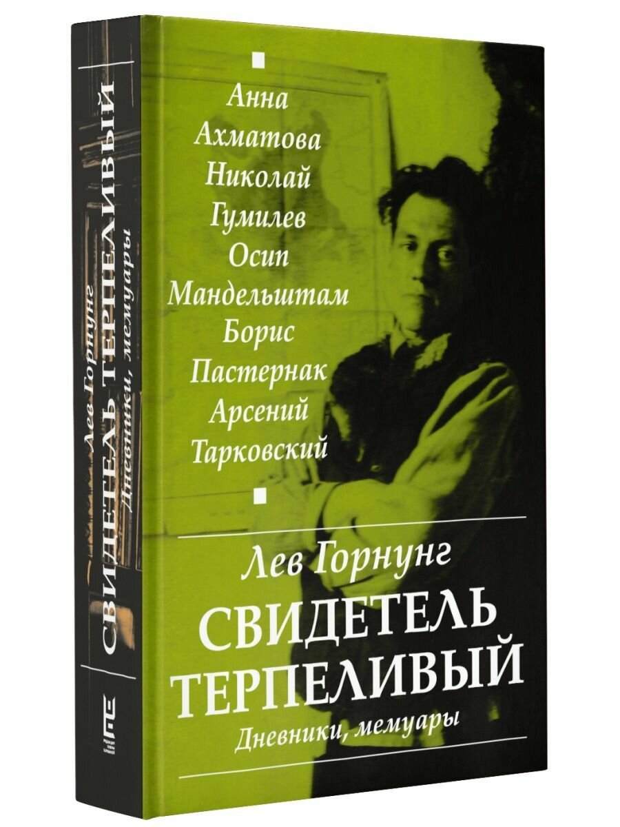 "Свидетель терпеливый..." Дневники, мемуары - фото №10