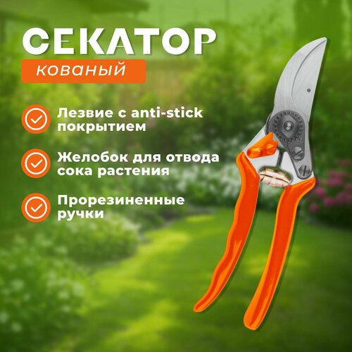 Секатор кованый профессиональный с обрезиненнымиручками