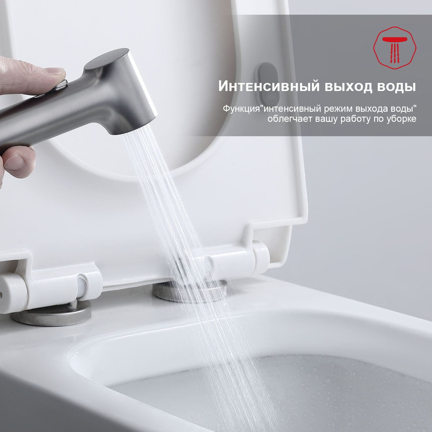 Смеситель встраиваемый с гигиеническим душем Raglo R03.52.09, латунь, графит — фото 1