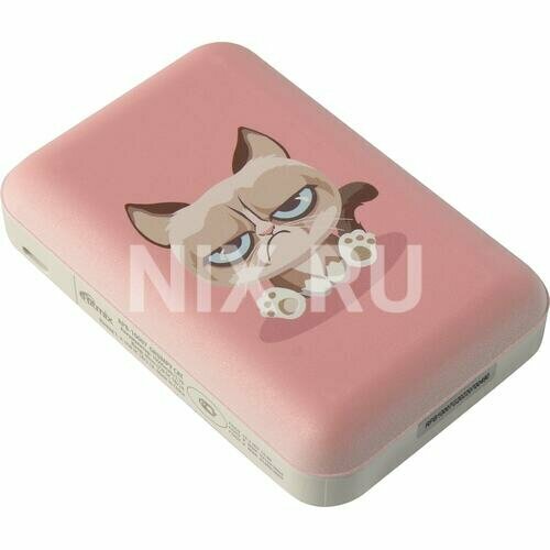 Внешний аккумулятор Ritmix RPB-10007 Grumpy Cat 1900₽