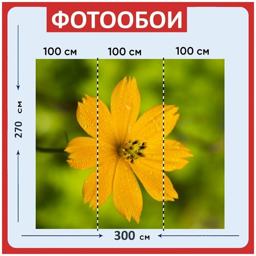 Фотообои Желтый зеленый весна 300x270 см флизелиновыена стену 3970₽