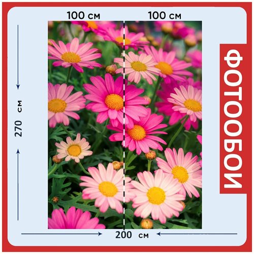 Фотообои Розовый цветы блум 200x270 см флизелиновыена стену 2970₽
