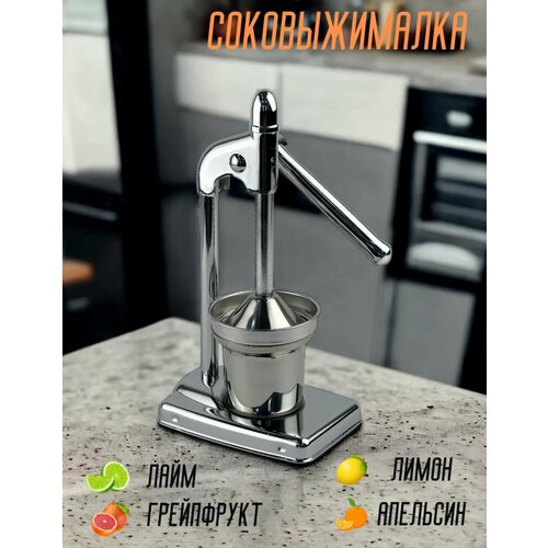 Соковыжималка пресс механический для фруктов 300000₽
