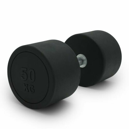 Гантель UNIX Fit PRO круглая обрезиненная 50 кг черный