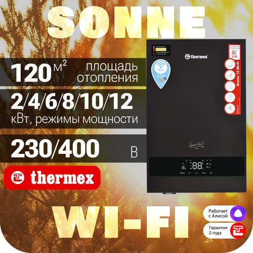 Электрический настенный котел THERMEX Sonne 12 Wi-Fi Grey 53000₽