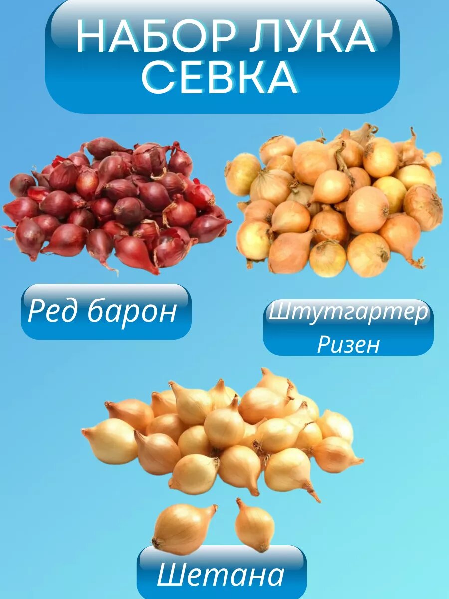 Набор лука севка по 0.5