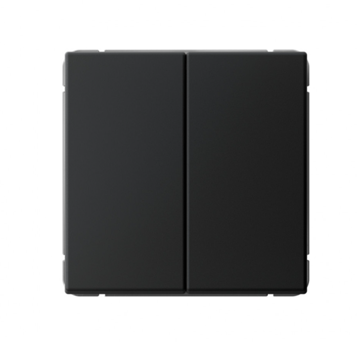 GAL001051 ARTGALLERY 2-клавишный выключатель, сх.5, 10АХ, механизм, карбон