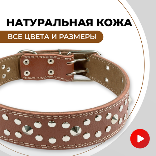 Ошейник кожаный для больших собак, для крупных пород широкий