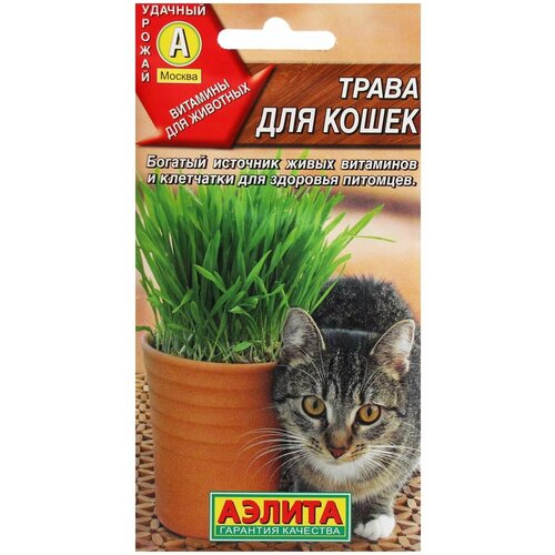 Семена Трава для кошек трава для кошек семена