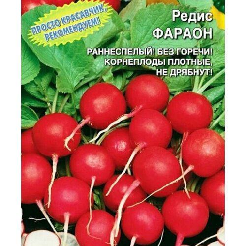 коллекционные семена редиса парат Коллекционные семена редиса Фараон