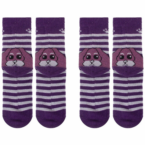 Носки HOBBY LINE, 2 пары, размер 36-40, фиолетовый набор женских носков с принтом средней длины 5 пар