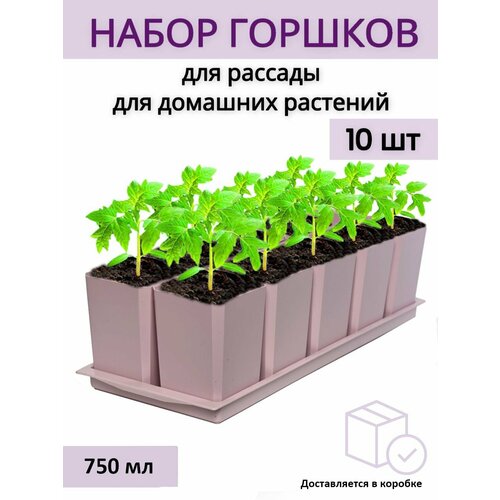 Горшки для рассады и цветов, горшок для цветов - 10 шт по 750 мл на общем поддоне, Пыльная роза