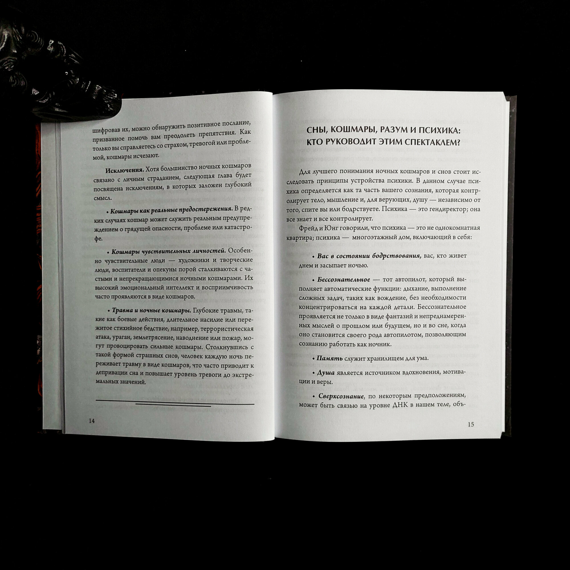 Ночные кошмары: Тёмная сторона снов и сновидения - фото №10