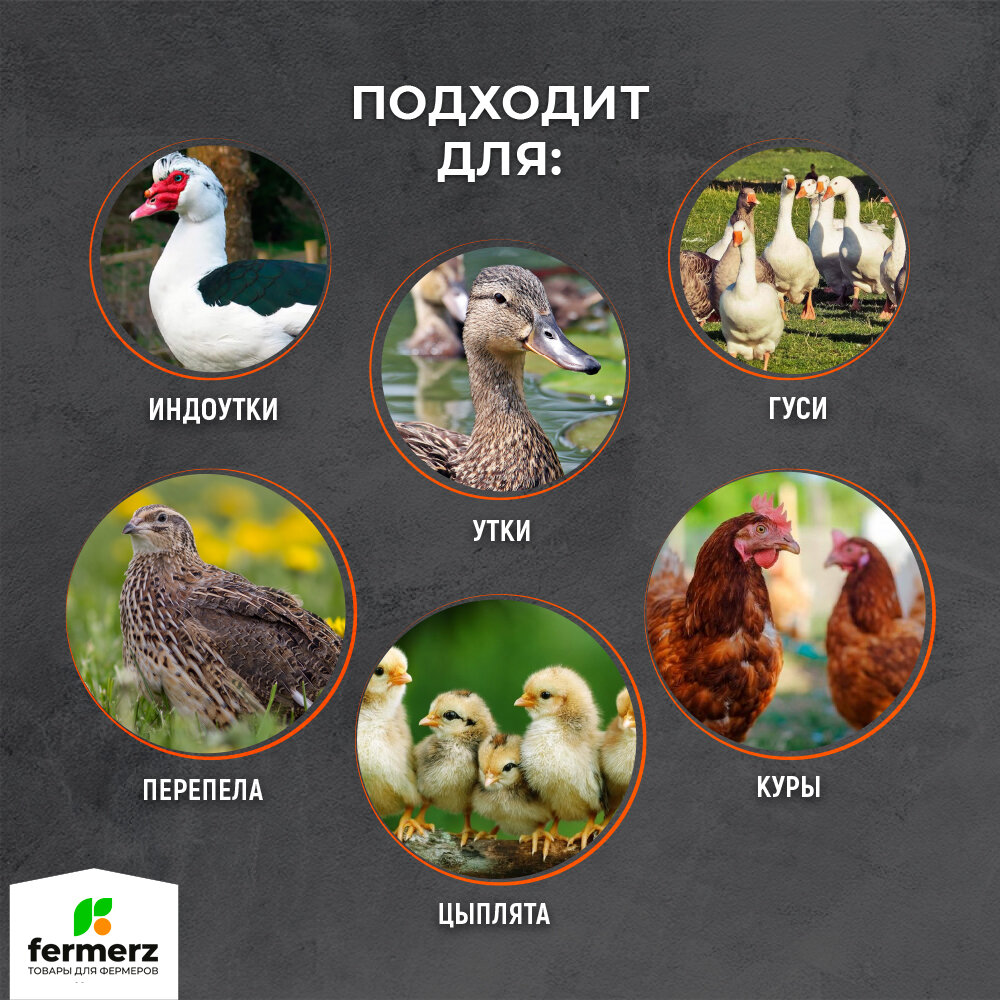 Чашечные поилки для кур НП13 с канистрой 5л. чёрный шланг. Поилка для птиц садовая: кур, перепелов, индоуток, гусей уток — фото 1