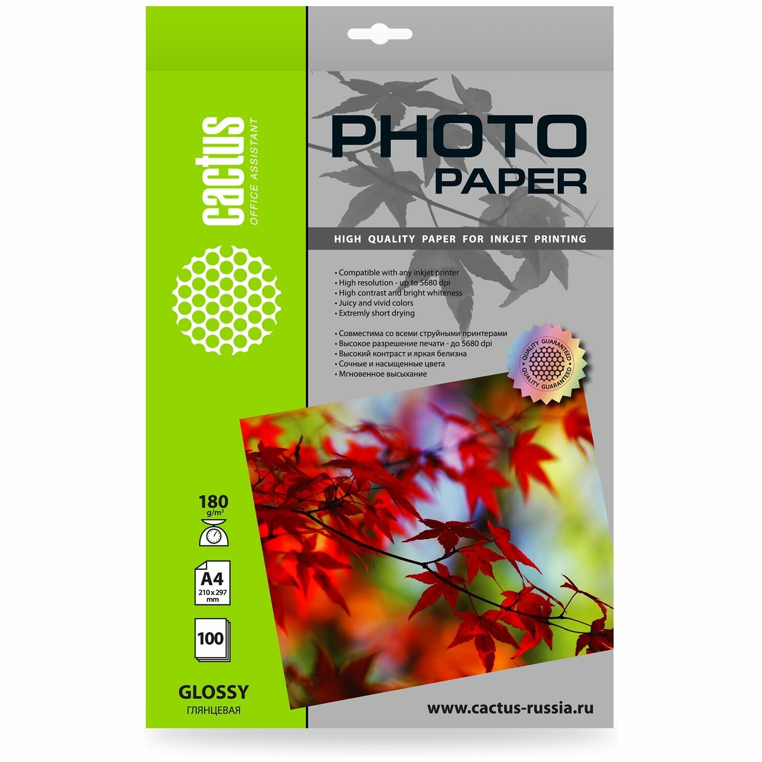Фотобумага Cactus A4 глянцевая 180г/м2, 100л, CS-GA4180100